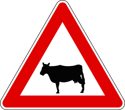 Animali domestici vaganti