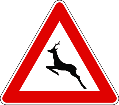 Animali selvatici vaganti